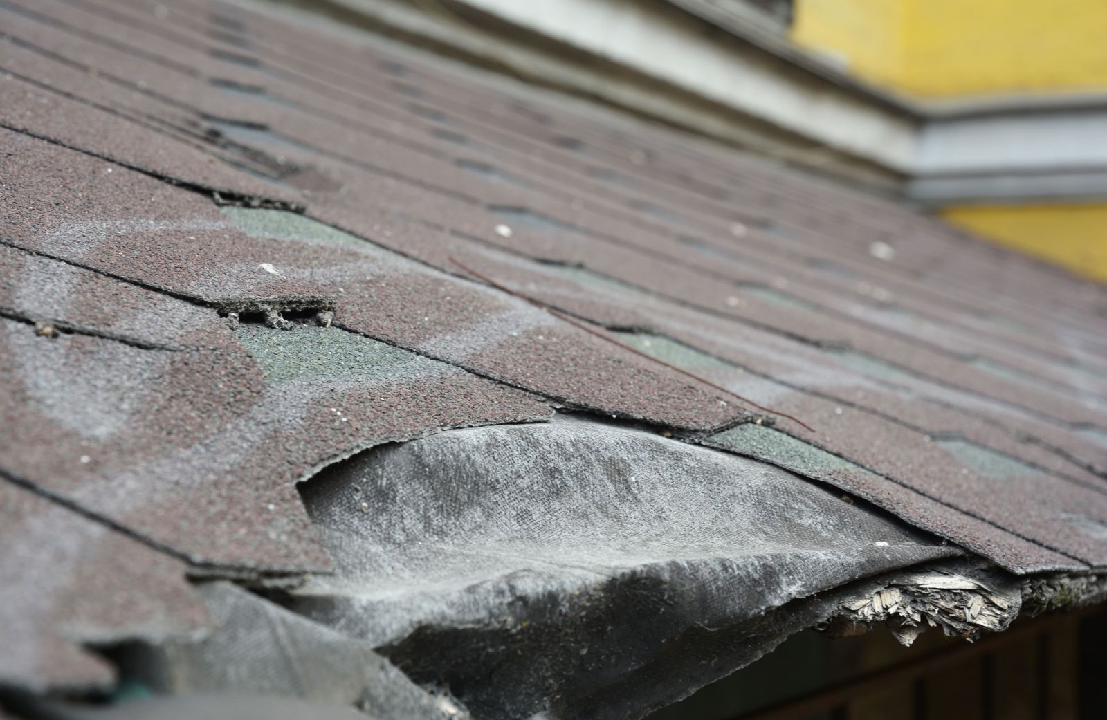 JaM Roofing & Construction Images