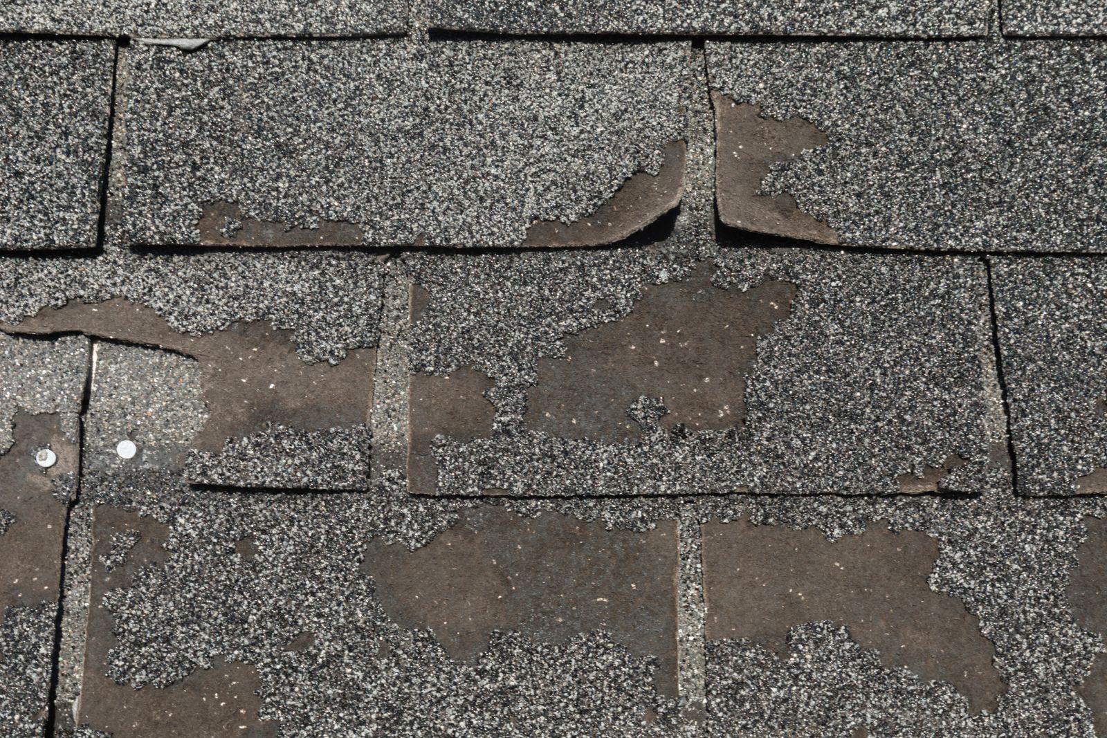 JaM Roofing & Construction Images